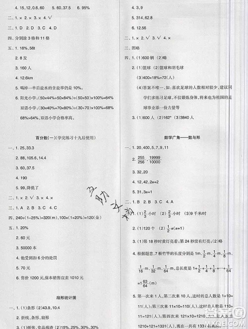 新疆文化出版社2019秋新版A+金题小学六年级数学上册人教版答案 新疆文化出版社2019秋新版A+金题小学六年级数学上册人教版答案
