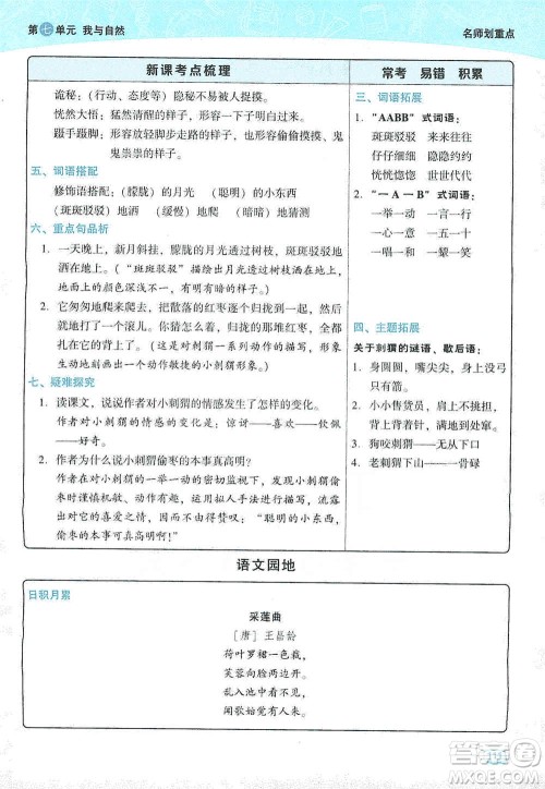 2019典中点名师划重点三年级语文上册人教版答案