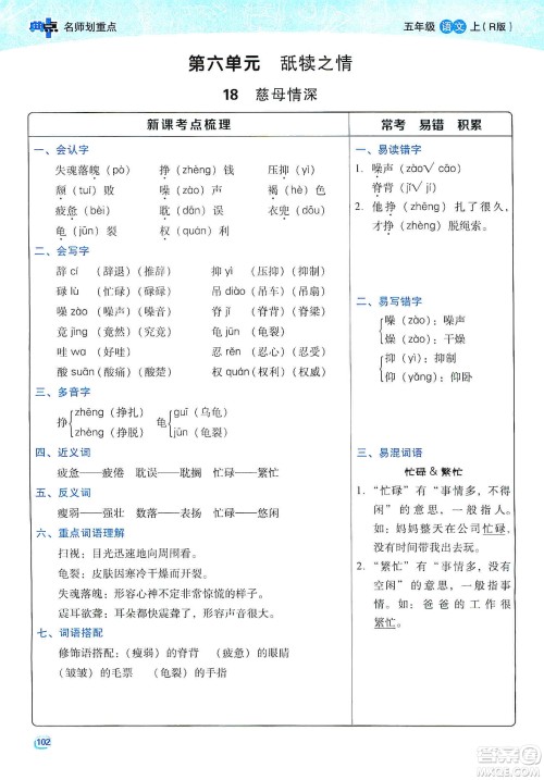 2019典中点名师划重点五年级语文上册人教版答案