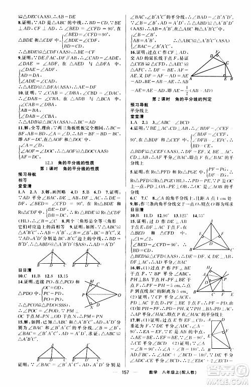 2019年我的书会讲课四清导航数学八年级上人教版参考答案