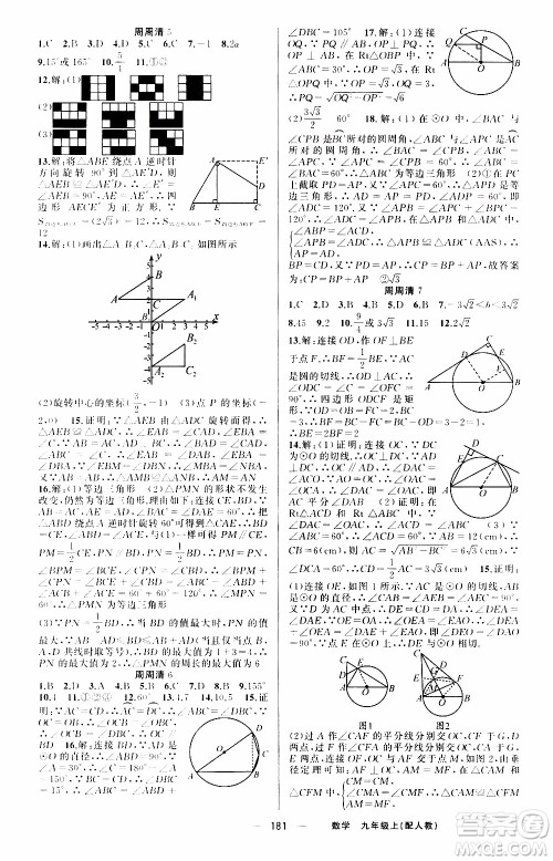 2019年我的书会讲课四清导航数学九年级上RJ人教版参考答案