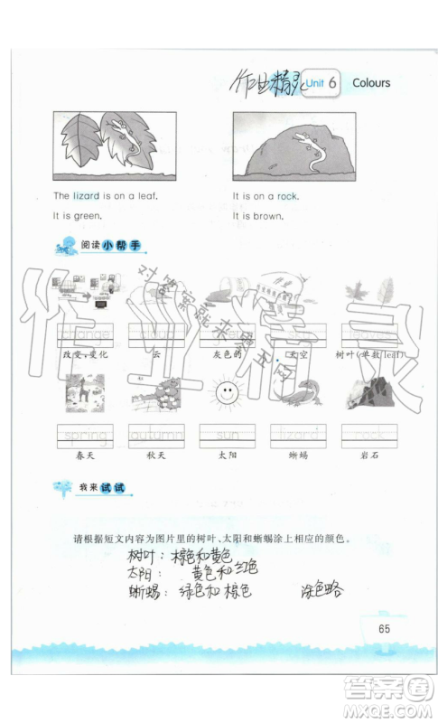 2019秋小学英语听读空间三年级上册苏教译林版参考答案