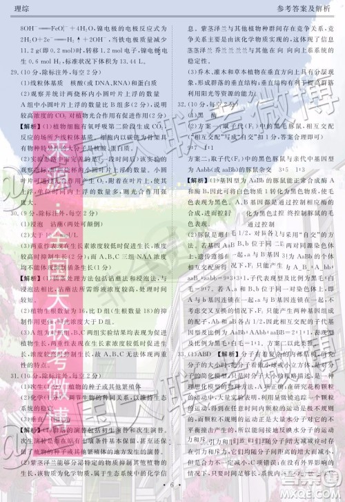 衡水金卷2020届高三期末预热联考理科综合参考答案