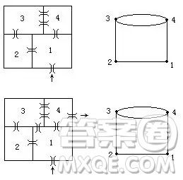 见下两图，可知不能一次不重复地走遍所有的小桥，因为下右图有4个奇点。