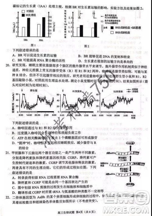 2019年浙江省七彩阳光新高考研究联盟高考适应性考试高三生物试题及参考答案
