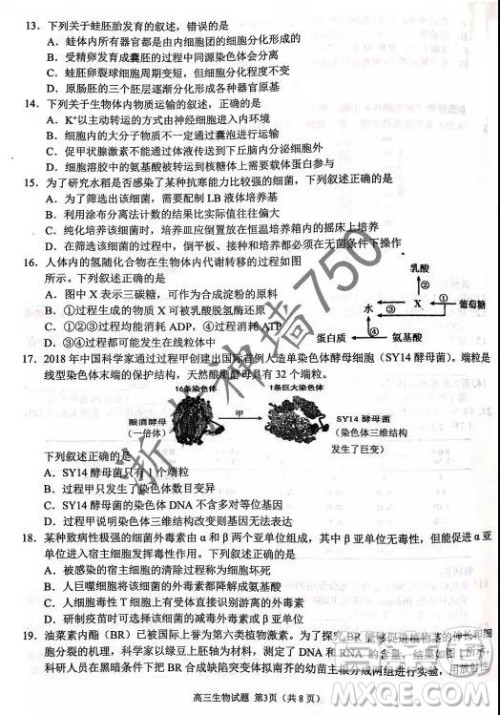 2019年浙江省七彩阳光新高考研究联盟高考适应性考试高三生物试题及参考答案