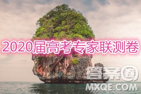 2020届高考专家联测卷二文科数学试题及答案