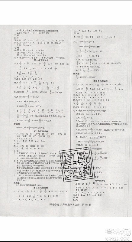 先锋系列图书2019年课时夺冠六年级上册数学人教版参考答案