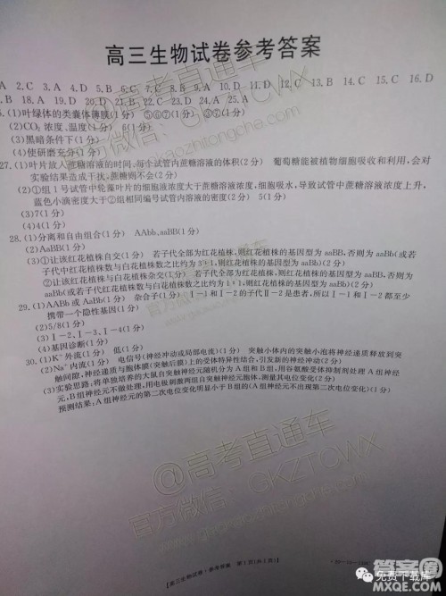2020届湖南金太阳高三12月联考生物答案 2020届湖南金太阳高三12月联考生物答案