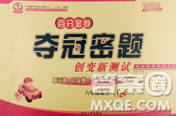 延边人民出版社2019秋百分金卷夺冠密题卷六年级数学人教版答案