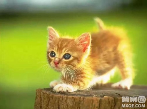 对快与慢的看法作文800字 对快与慢的看法议论文作文800字 对快与慢的看法作文800字 对快与慢的看法议论文作文800字