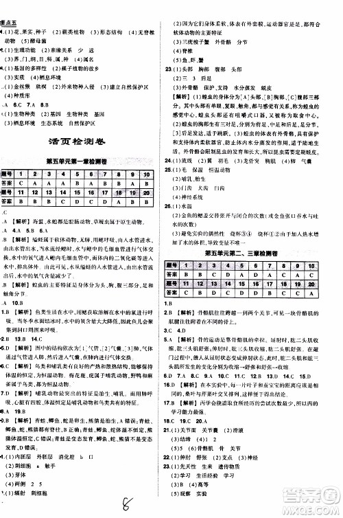 状语成才路2019年状元导练八年级上册生物人教版参考答案
