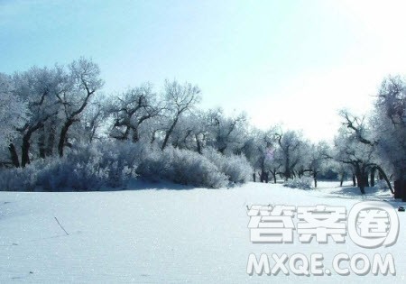 关于2020第一场冬雪作文 2020年第一场冬雪作文 关于2020第一场冬雪作文 2020年第一场冬雪作文