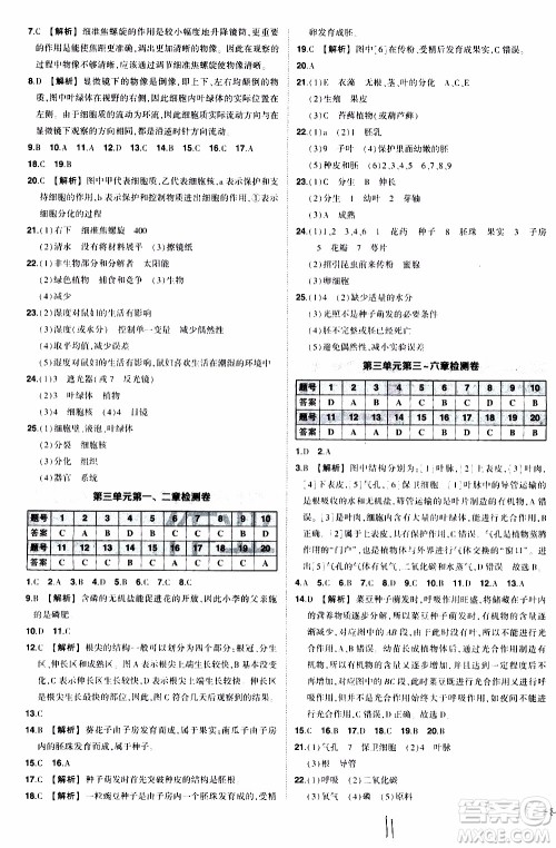 状语成才路2019年状元导练七年级上册生物人教版参考答案