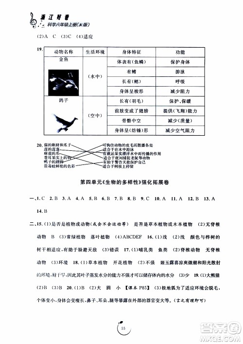 宁波出版社2019年浙江好卷科学六年级上册JK教科版参考答案