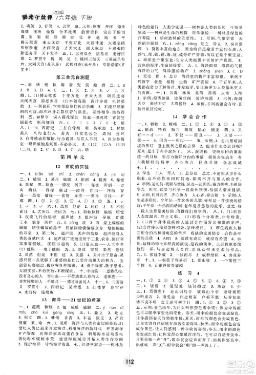 阳光小伙伴2020课时提优计划作业本六年级语文下册江苏地区专用版答案