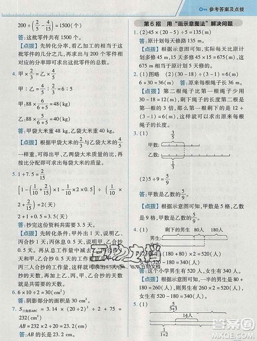 2020综合应用创新题典中点六年级数学下册青岛版答案