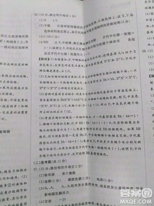 2020届国考1号生物7答案 2020届国考1号生物7答案