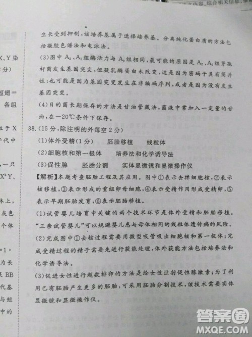 2020届国考1号生物7答案 2020届国考1号生物7答案