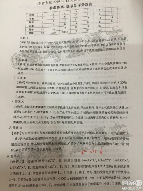 山东省九校2019年12月高三检测考试生物答案 山东省九校2019年12月高三检测考试生物答案