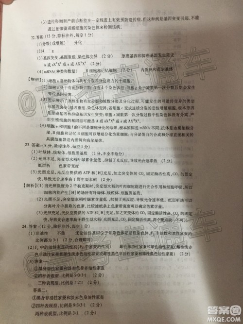 山东省九校2019年12月高三检测考试生物答案 山东省九校2019年12月高三检测考试生物答案