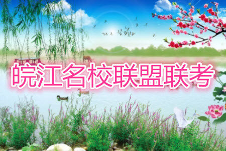 皖江名校联盟2020届高三12月份联考政治试题及答案