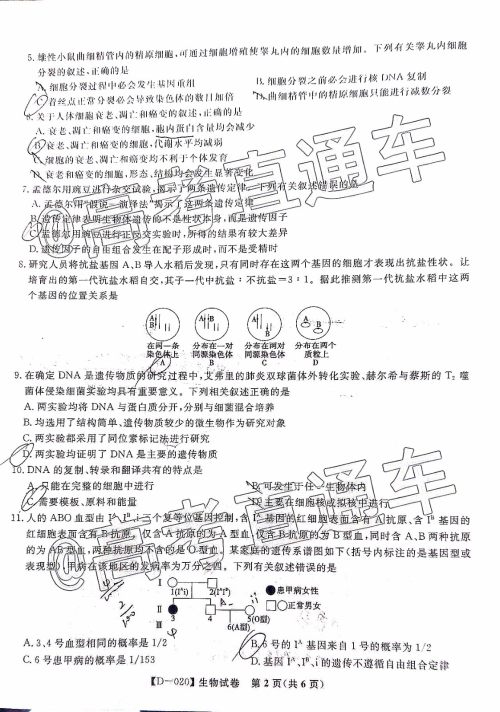 皖江名校联盟2020届高三12月份联考生物试题及答案 皖江名校联盟2020届高三12月份联考生物试题及答案