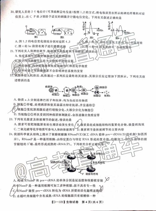 皖江名校联盟2020届高三12月份联考生物试题及答案