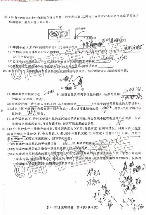 皖江名校联盟2020届高三12月份联考生物试题及答案 皖江名校联盟2020届高三12月份联考生物试题及答案