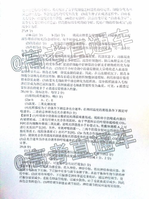 皖江名校联盟2020届高三12月份联考生物试题及答案 皖江名校联盟2020届高三12月份联考生物试题及答案