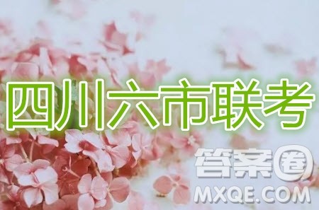 2020届四川六市广安广元眉山逐宁资阳雅安联考数学理工类试题及答案