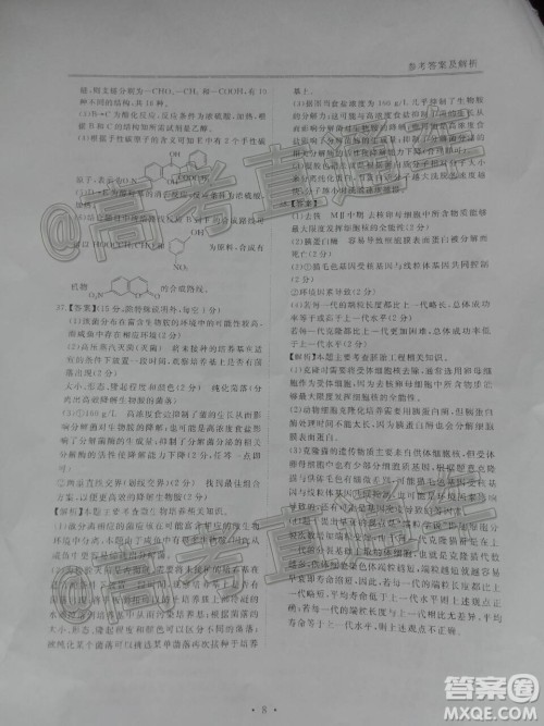 博雅闻道2019-2020学年度第一次高中联合质量测评理科综合答案 博雅闻道2019-2020学年度第一次高中联合质量测评理科综合答案