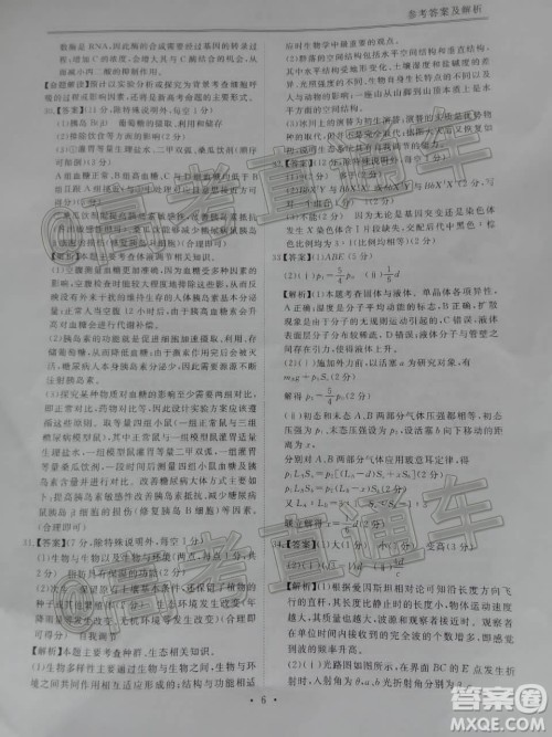 博雅闻道2019-2020学年度第一次高中联合质量测评理科综合答案 博雅闻道2019-2020学年度第一次高中联合质量测评理科综合答案