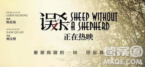 电影误杀观后感 误杀观后感800字 电影误杀观后感 误杀观后感800字