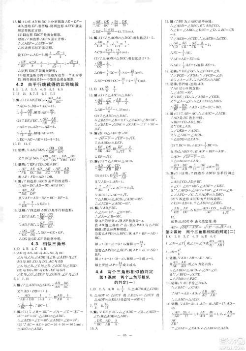 2019年全效提分卷九年级数学上下册浙教版答案 2019年全效提分卷九年级数学上下册浙教版答案