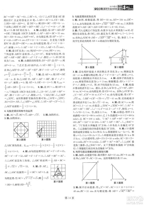 春如金卷2019初中数学课时作业AB本C本八年级上册答案