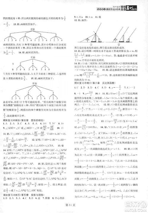 春如金卷2019初中数学课时作业AB本九年级B本上册答案