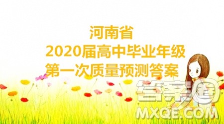 河南省2020届高中毕业年级第一次质量预测化学试题及参考答案