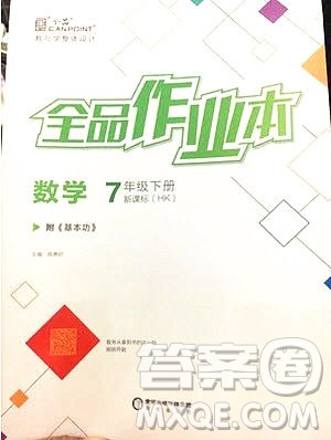 阳光出版社2020年全品作业本数学七年级下册沪科版参考答案