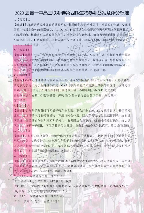 2020届昆明一中高三第四次月考理科综合答案 2020届昆明一中高三第四次月考理科综合答案