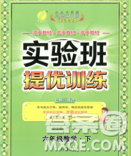 春雨教育2020春实验班提优训练六年级数学下册人教版答案 春雨教育2020春实验班提优训练六年级数学下册人教版答案