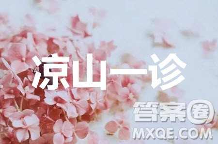 凉山州2020届高中毕业班第一次诊断性检测理科综合物理试题答案 凉山州2020届高中毕业班第一次诊断性检测理科综合物理试题答案