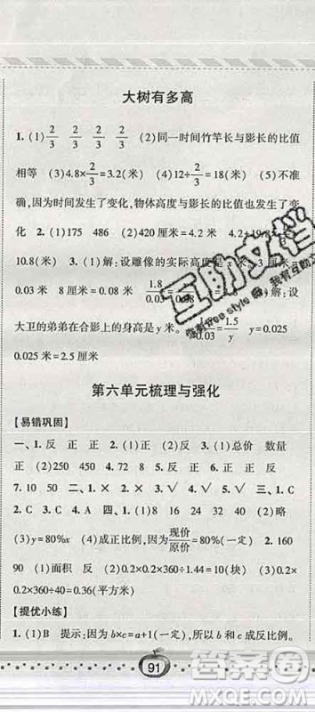 宁夏人民教育出版社2020春经纶学典课时作业六年级数学下册江苏版答案