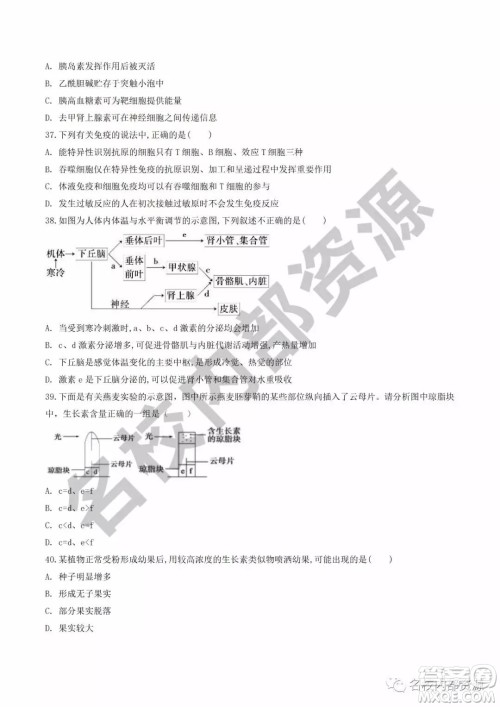 哈六中2019—2020学年度高三上第三次调研考试生物试卷及答案