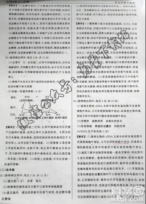 2020届衡中同卷分科综合卷全国二卷A生物答案 2020届衡中同卷分科综合卷全国二卷A生物答案