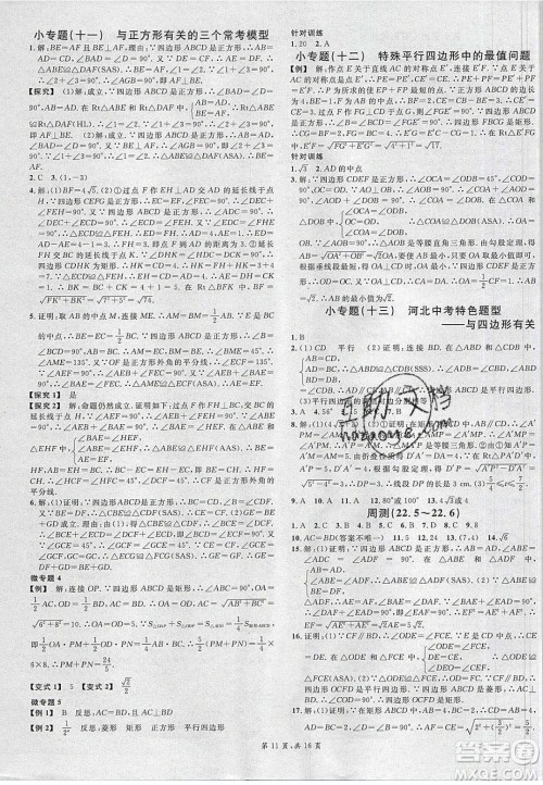 新世纪出版社2020年春名校课堂八年级数学下册冀教版河北专版答案