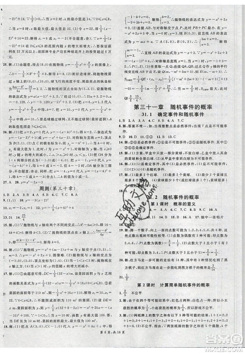 新世纪出版社2020年春名校课堂九年级数学下册冀教版河北专版答案