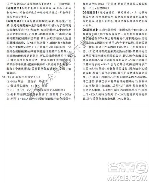 超级全能生2020高考全国卷24省1月联考丙卷理科综合答案 超级全能生2020高考全国卷24省1月联考丙卷理科综合答案