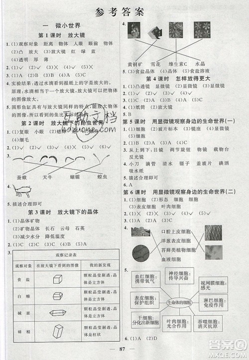宇轩图书2020春阳光同学课时优化作业六年级科学下册教科版答案 宇轩图书2020春阳光同学课时优化作业六年级科学下册教科版答案