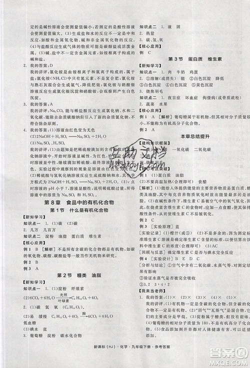 阳光出版社2020年全品学练考化学九年级下册新课标HJ沪教版答案